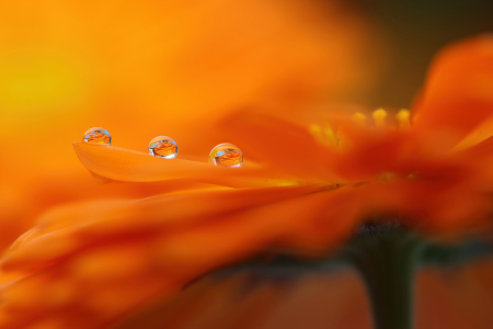 Trinity of Drops, Symphony of Color