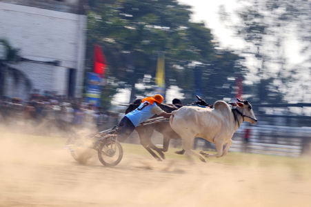 Dust and Determination