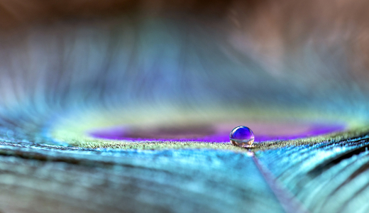 Colors of Nature